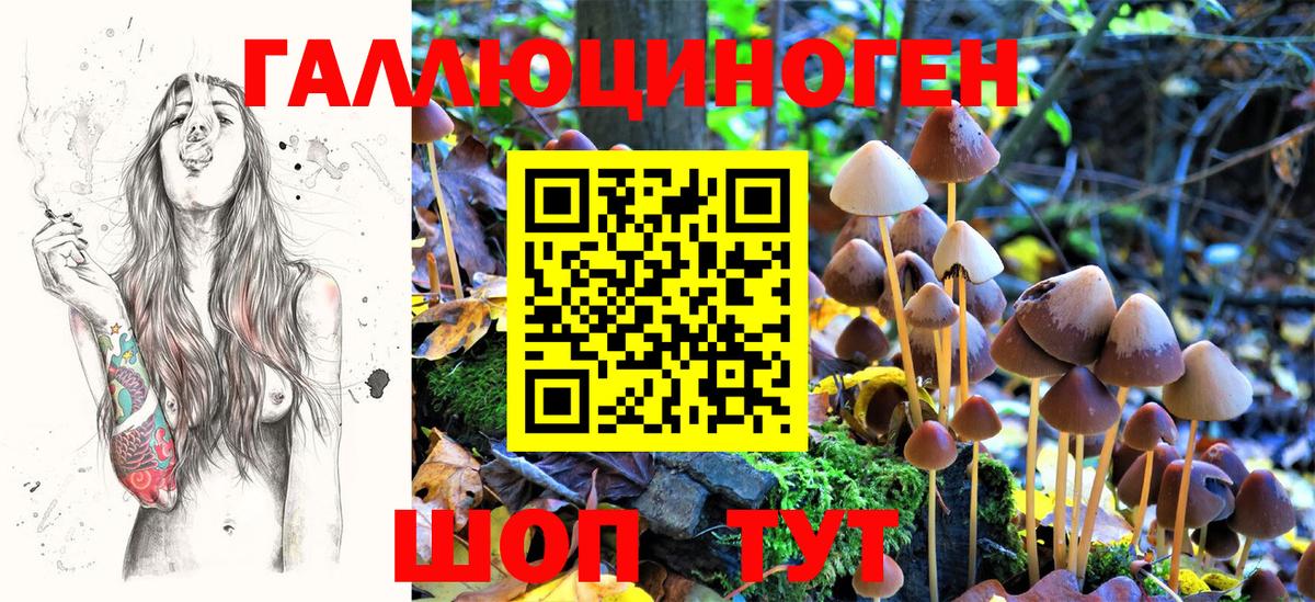 Мурино  Галлюциногенные грибы Psilocybine cubensis  Вход с VPN 